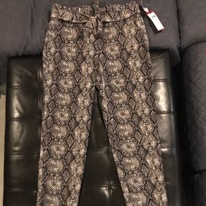 Snake print dress pant